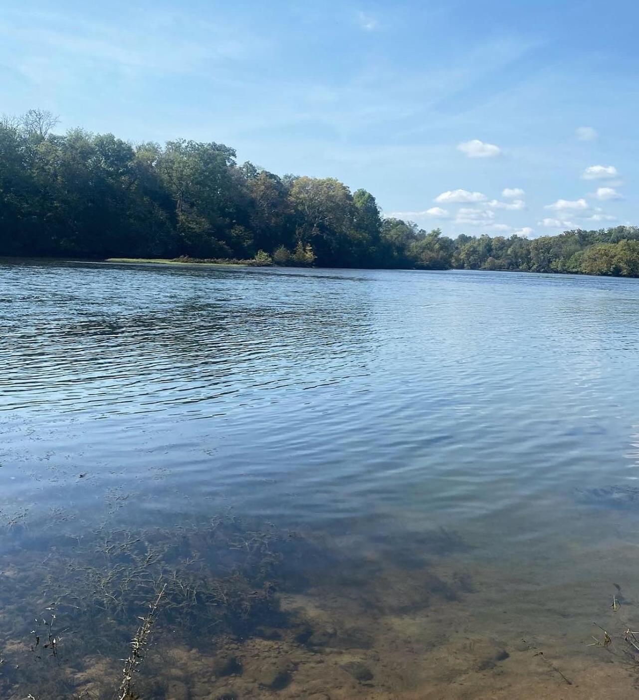 Luxury Riverfront Tiny House- Amazing Views- #111 Strawberry Plains 외부 사진